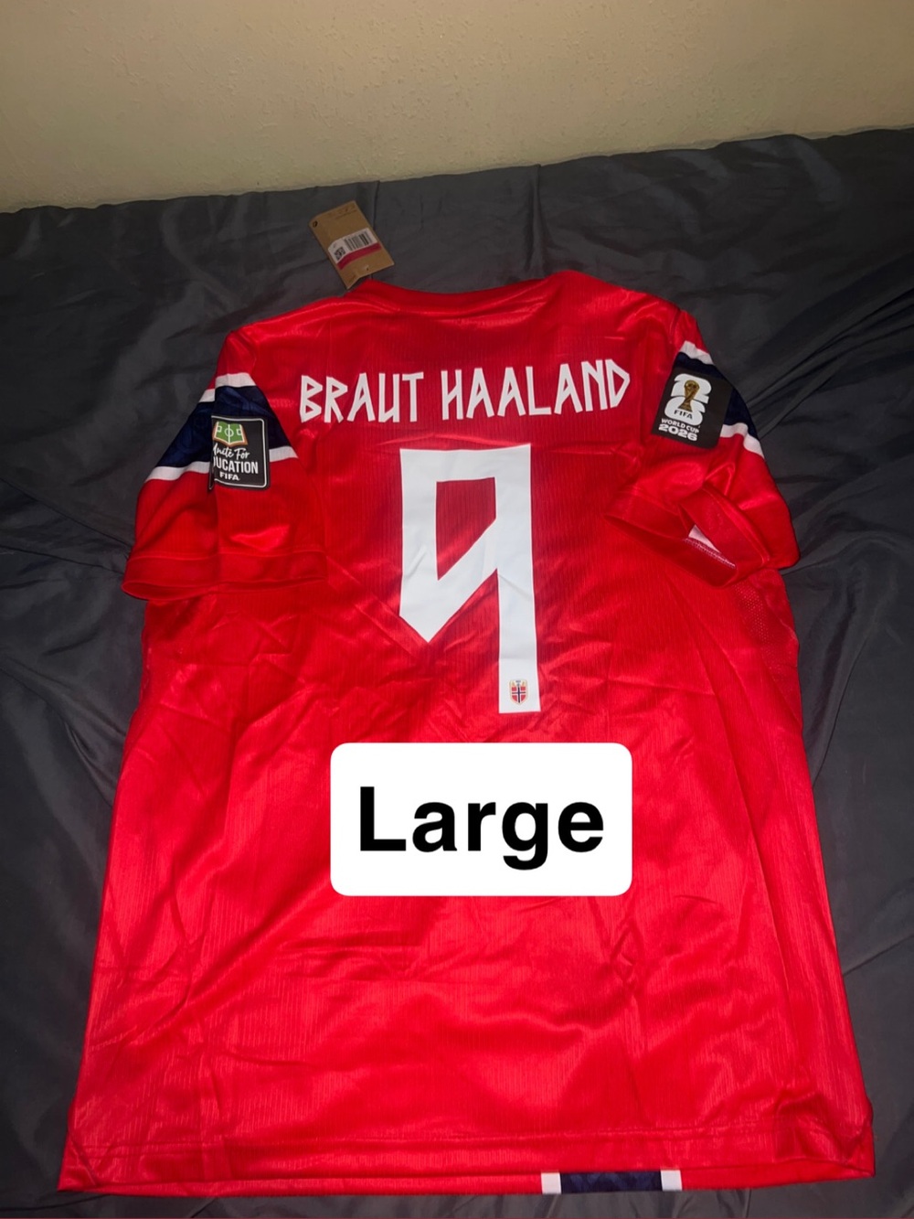 Norway soccer jersey
